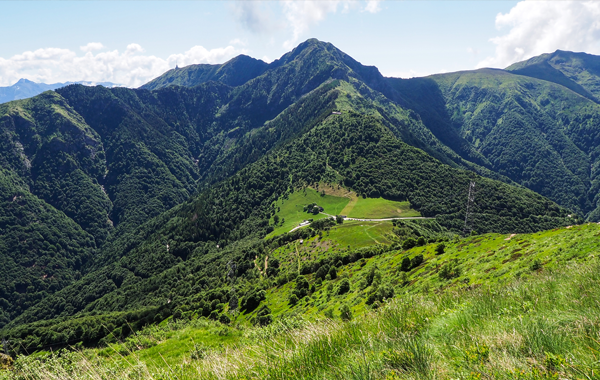 Natura-Gambarogno-Terra-ticinese